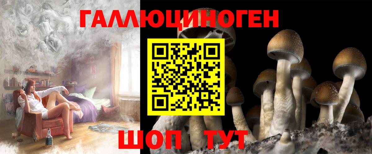 Киселёвск  купить наркотик  Вход с VPN  Псилоцибиновые грибы MAGIC MUSHROOMS 